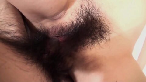 hairy pussy - japanese homeporn
